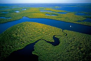 Mangroves-in-Everglades-National-Park-Florida-US