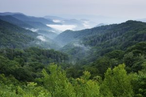 Smoky-Mountains-iStock-medium